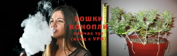 PSILOCYBIN Зеленокумск