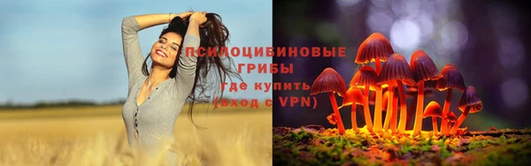 PSILOCYBIN Зеленокумск