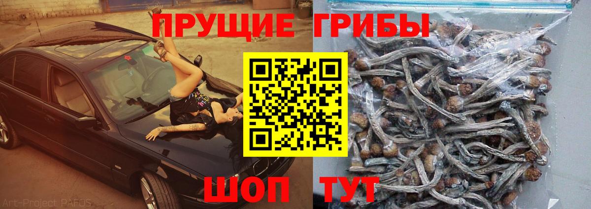 Ишим  Галлюциногенные грибы ЛСД  Вход с VPN 