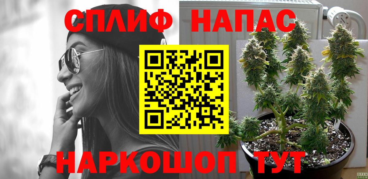 Конопля Amnesia  Ишим  Канабис семена  Марихуана семена 